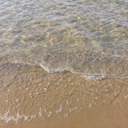 Guest Rusalka Lejlighed Sveti Vlas