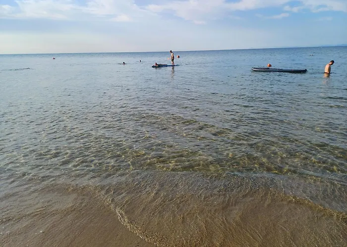 Guest Rusalka Sweti Wlas