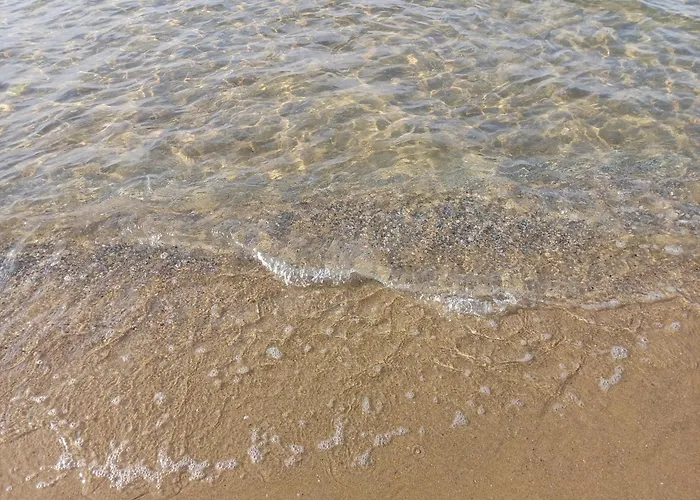 Guest Rusalka Apartment Sweti Wlas